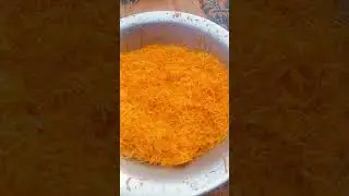 Bird making carrot halwa. #shortsvideo