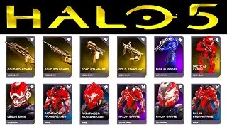 HALO 5 | CLASSIC BR | DECEMBER REQS REVEALED (Halo 5 Guardians)