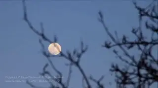Rising Moon Time Lapse - Intervalometer 10 seconds