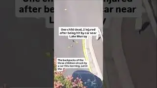 One child dead, 2 injured after being hit by car near Lake Murray
