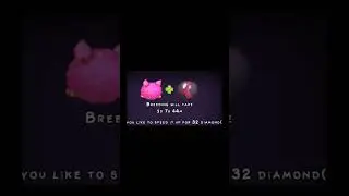 I Bred Rare Hoola
