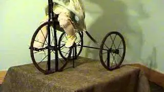 Girl Riding a Tricycle - automaton of antique German bisque head doll riding a tricycle