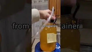 How to SAFELY Age Alcohol in Secondary #cider #mead #wine #homebrew #diy #science