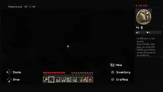 Mincraft survive solo live