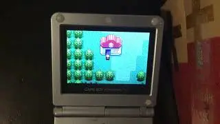 Can You Beat Pok&eacute;mon Ruby Version Using Only Mammals? Episode 1 Part 1