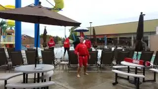 Lifeguard Shorts - THE HARLEM SHAKE