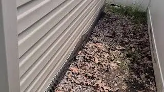 How to Safely Retrieve a Groundhog from Underneath a Shed