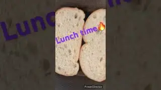 Kasian chicken sandwich melt for lunch #food ￼