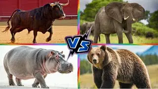 ANIMALS BATTLE. COFFIN DANCE. TILES HOP EDM RUSH