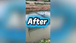 Tilapia Broodstock and Pond Management (Episode1)