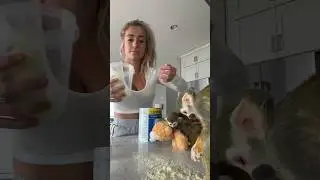 none was wasted! #squirrelmonkey #madlovesripley #beauty #viral #funny #baby #recipe #animal #monkey