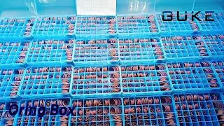 NBR 90 Oring Box Seal Kit Heat Resistant Custom Size For Excavator