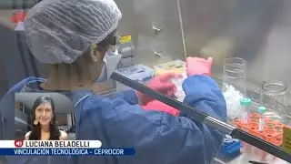 Prueban un tratamiento contra el COVID-19 a base de ibuprofeno