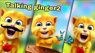 Talking ginger funny videos 🥳😻🤠 ginger game | my talking tom | friends Tom | play videos 
