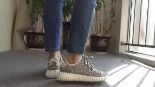 Adidas yeezy 350 Boost Turtle Dove  on feet From yeezysgo.com