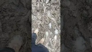 Так-то в Сочи зимой классно... Но есть нюанс...