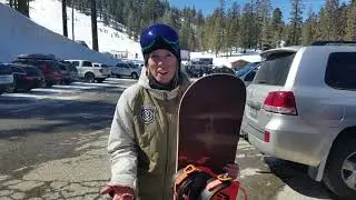 Arbor Cadence Review