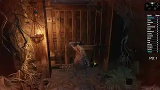 Sekiro No Damage Run - Immortal Severance Ending