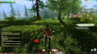 ArcheAge Combat