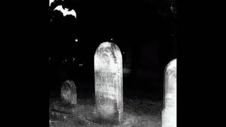dollreal - party at the graveyard w/ p6inkillr + z4y4 (z4y4)