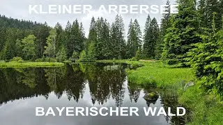 Kleiner Arbersee - Bayerischer Wald - Bayern - Deutschland - Hike in Bavarian Forest - Germany