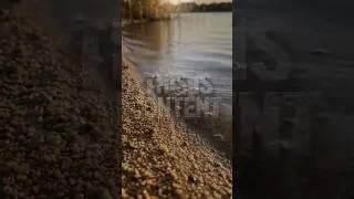 TiC -. PROMO CONTENT  - 50 Seconds of Pure Summer Calm