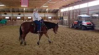 VEE class 83 Beginner Adult Horsemanship, Tonda & Jerricho Moon 11/292025