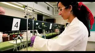 School of Engineering Technologies