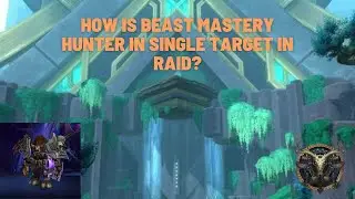 How Is Beast Mastery Hunter Single Target In Raid? 9.2 WoW Shadowlands