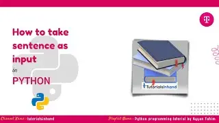 how to take sentence as input in python