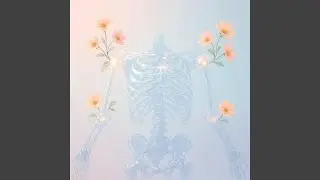 Ridiculously Gentle Spine Alignment
