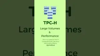 TPC Database Benchmarks 