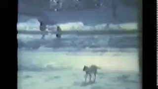 Snow and Ice Storm March 1960 Rome, Ga.