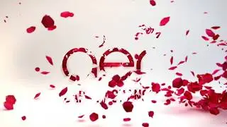 Godrej Aer Freshener