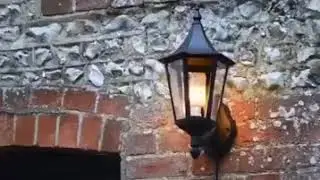 LED Flame Effect Light Bulbs Lamp
