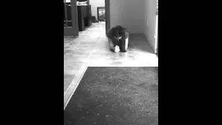 5 minute Plank challenge - Fail