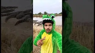 Crocodile costume challenge #minivlog #crocodile #youtubeshorts