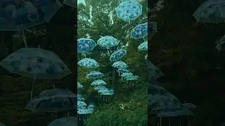 Walking Through a Sacred Japanese Temple | Zen Ambience in 4K