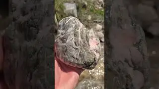 Opal Stone Discovery 👍👌✅