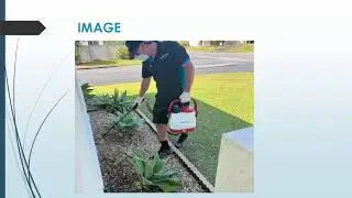 Best Ant Control in Trinity Park