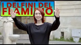 Quartieri di Roma: I Flaminio.