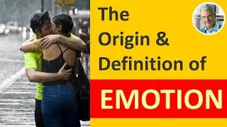 The Origin and Definition of EMOTION (4 Illustrated Examples)