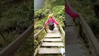 The hike to Mt. Sabinyo in Kisoro
