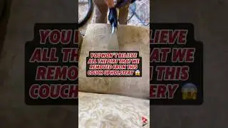✨Couch Cleaning Service In Denver, CO #upholsterycleaning #couchcleaning