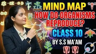 🤯 How Do Organisms Reproduce?! | 10-Min Mind Map 🧠⚡ #biology #cbseclass10 #mindmaps