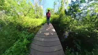 Macaulay Conservation Trail