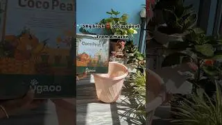5kg Cocopeat brick 🧱 from Amazon || Daily plant episodes D40 #viral #youtubeshorts #cocopeat#shorts