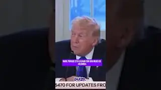 Трамп: от напряженности к намерению наладить контакт с Колумбией | Пульцо
