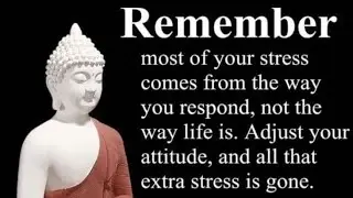 These Buddha Qoutes Are Life changing #buddha #quotes