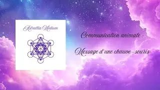 Communication animale : Message d'une chauve souris